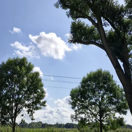 Silence Farm stay